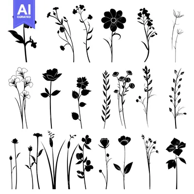 Aset premium populer: Collection of Black Silhouettes of Various Wildflowers