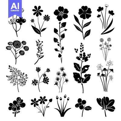 Aset premium populer: Black Silhouettes of Various Wildflowers