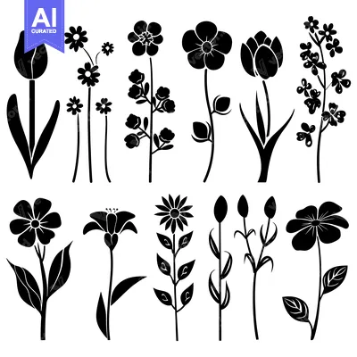 Aset premium populer: Black Silhouettes of Various Flowers and Buds