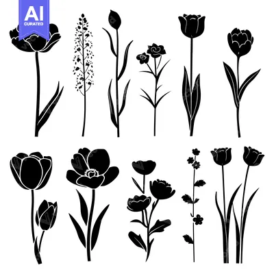 Aset premium populer: Black Silhouettes of Various Flowers with Stems and Leaves