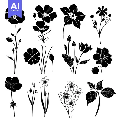 Aset premium populer: Black Silhouettes of Various Flowers and Foliage