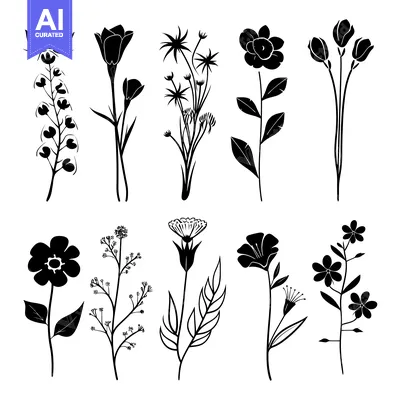 Premium design asset: Collection of Black and White Floral Silhouettes