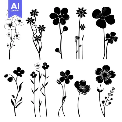 Aset premium populer: Black and White Silhouettes of Various Flower Designs