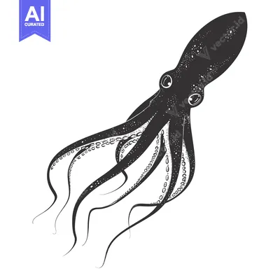 Hand-drawn illustration of a black octopus with eight tentacles