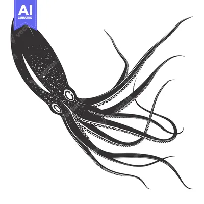 Aset premium populer: A Detailed Illustration of an Octopus with Textured Tentacles