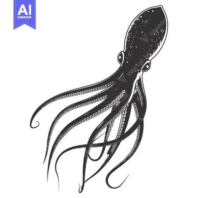 Premium design asset: Black and White Illustration of an Octopus with Tentacles