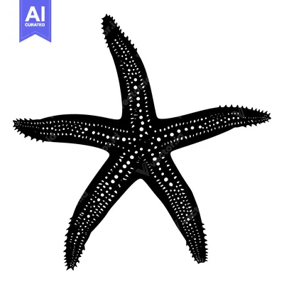 Premium design asset: Black and White Starfish Silhouette with Detailed Texture