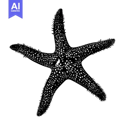 Aset premium populer: Black and White Silhouette of a Starfish with Spines
