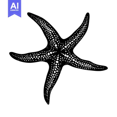 Black and White Illustration of a Five-Pointed Starfish