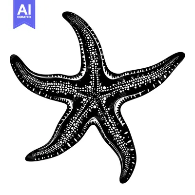 Aset premium populer: Black and White Illustration of a Starfish with a Detailed Design