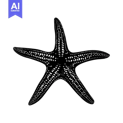 Aset desain premium: Black and white illustration of a starfish with a detailed patterned s