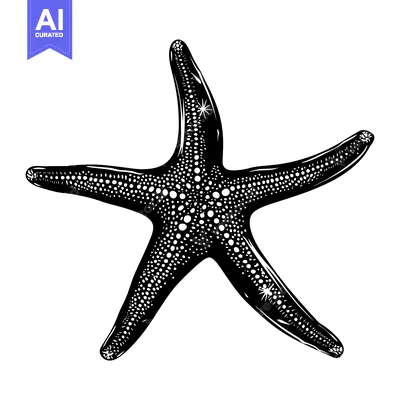 Aset premium populer: Black and White Illustration of a Starfish