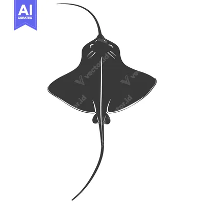 Popular premium asset: Silhouette of a Stingray Viewed from Above