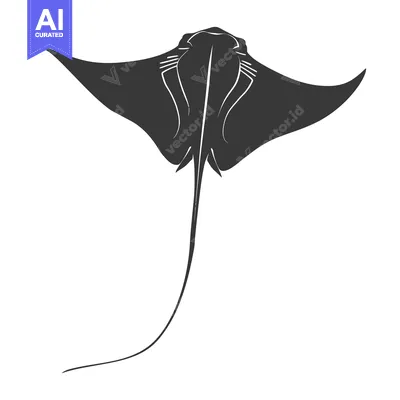 Black and White Silhouette of a Manta Ray Swimming