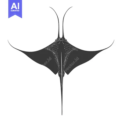 Aset premium populer: A Black and White Silhouette of a Manta Ray