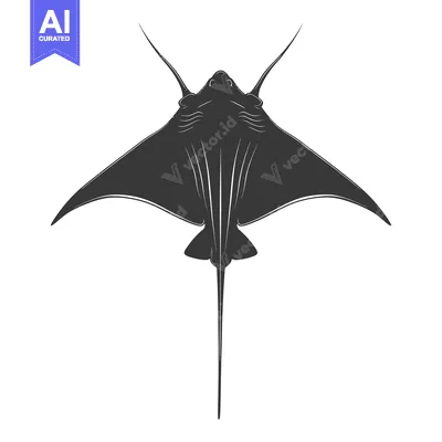 Aset premium populer: A black and white silhouette of a stingray viewed from below