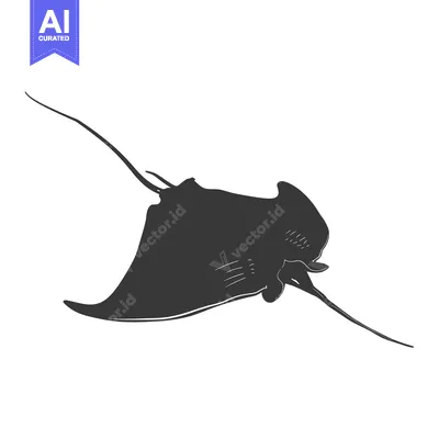 Aset desain premium: A Black and White Hand-Drawn Illustration of a Manta Ray
