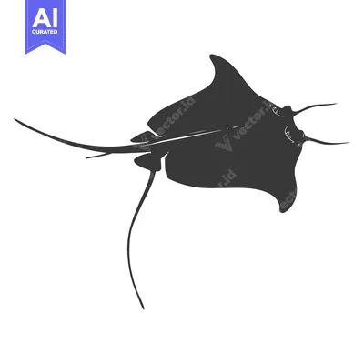 Black and White Silhouette of a Manta Ray