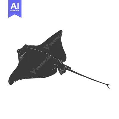 Premium design asset: Black and white silhouette of a stingray swimming