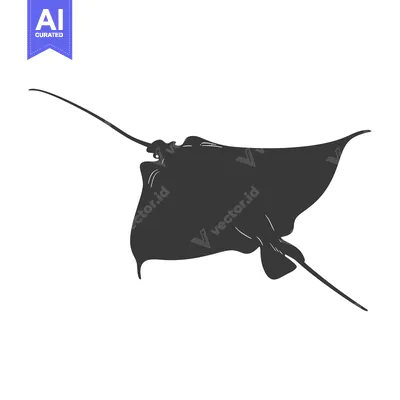 Aset premium populer: A Black and White Silhouette of a Stingray