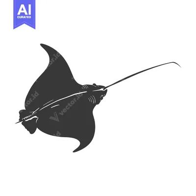 Aset premium populer: Black and White Silhouette of a Manta Ray