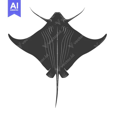 Aset premium populer: Black and white illustration of a manta ray viewed from below