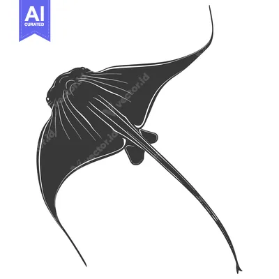 Black and White Silhouette of a Stingray Swimming