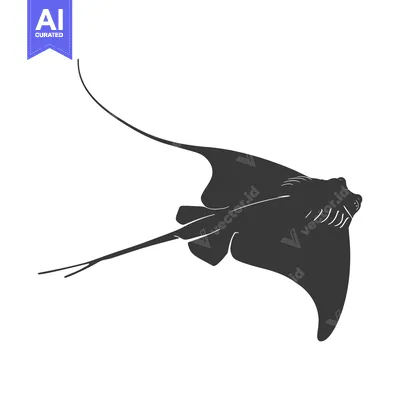 Aset premium populer: Black and White Silhouette of a Stingray Swimming