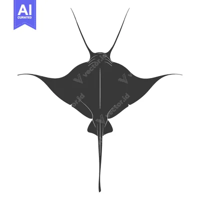Premium design asset: A Black and White Silhouette of a Manta Ray