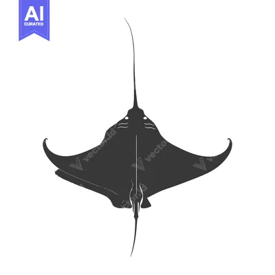 Popular premium asset: Silhouette of a Manta Ray Swimming Upwards