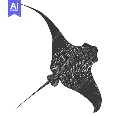 Aset desain premium: Black and White Illustration of a Spotted Eagle Ray