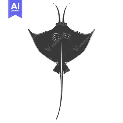Aset desain premium: Silhouette of a Stingray Viewed from Above