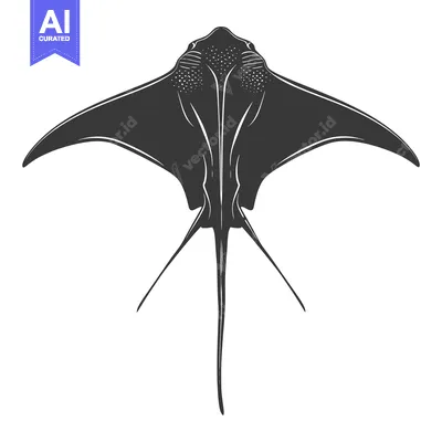 Silhouette of a Manta Ray with Spread Wings and a Long Tail