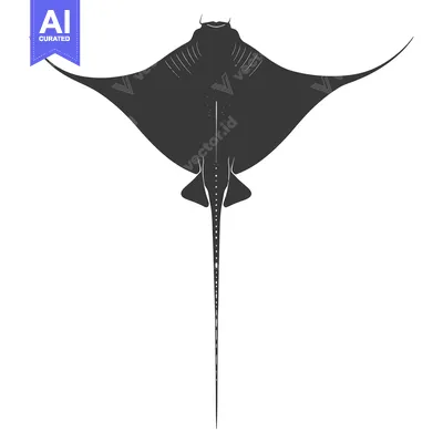 Aset desain premium: Black and white silhouette of a stingray viewed from above