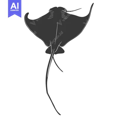 Popular premium asset: A Black and White Silhouette of a Stingray Swimming Upwards