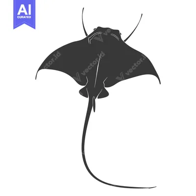 Aset premium populer: Black and white silhouette of a manta ray swimming underwater