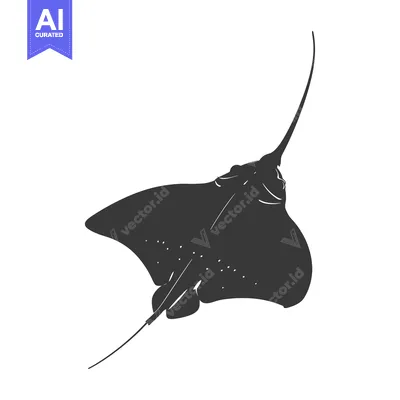 Black and White Silhouette of a Stingray
