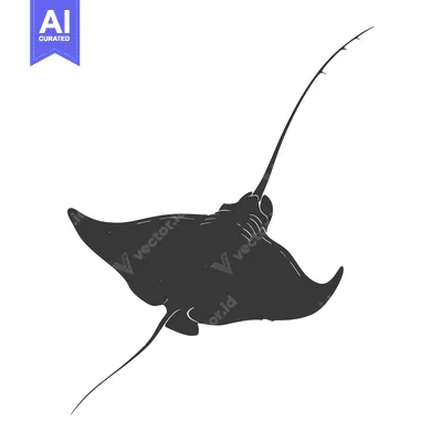 Aset premium populer: Silhouette of a Manta Ray Swimming in the Ocean