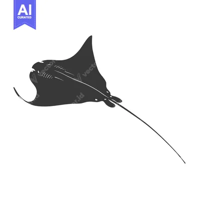 Aset desain premium: Silhouette of a Manta Ray with a Long Tail