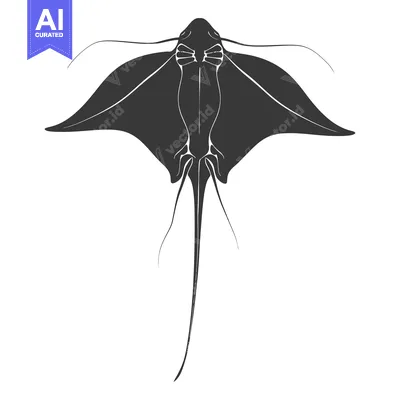 Aset premium populer: A Black and White Silhouette of a Stingray Viewed from Above