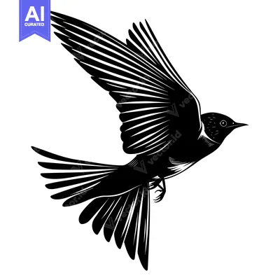 Aset premium populer: Black and White Silhouette of a Bird in Flight