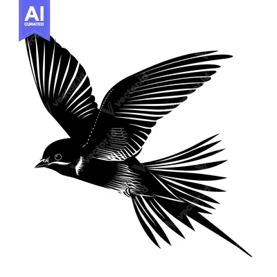 Popular premium asset: Black and White Silhouette of a Bird in Flight