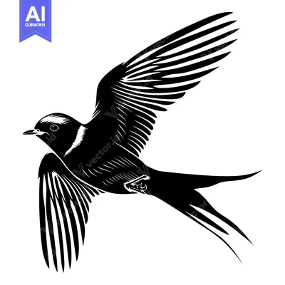 Popular premium asset: Black and White Silhouette of a Bird in Flight