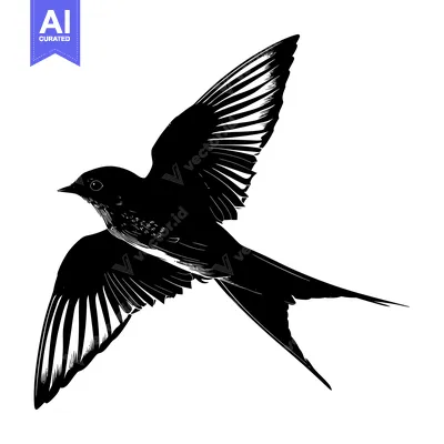 Aset premium populer: Black and White Illustration of a Swallow in Flight