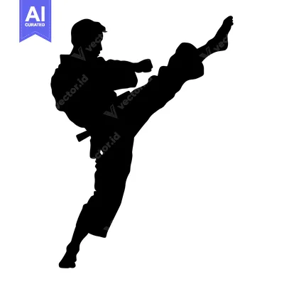 Silhouette of a Karate Practitioner Executing a High Kick