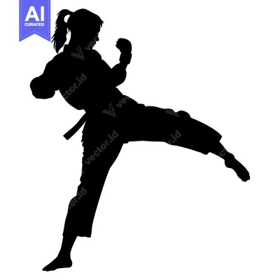 Aset premium populer: Silhouette of a Woman Performing a Martial Arts Kick