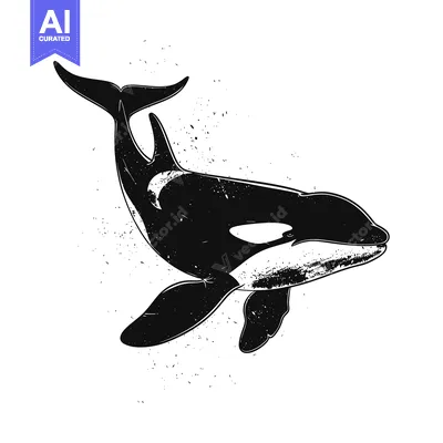 Aset desain premium: Black and White Grunge Style Orca Illustration