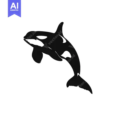Aset premium populer: Black and White Silhouette of an Orca Leaping Out of the Water