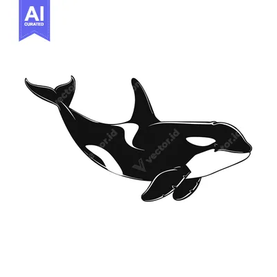 Aset desain premium: Black and White Silhouette of a Killer Whale Swimming