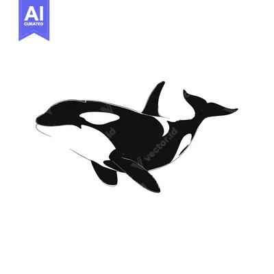 Aset desain premium: Black and White Silhouette of an Orca Swimming